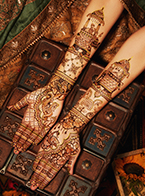 ThumbNailImage_manraj-mehndi-3small20201013020208.jpg