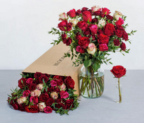 Bloom & Wild, Flowers, letterbox, petals, bouquets, florist
